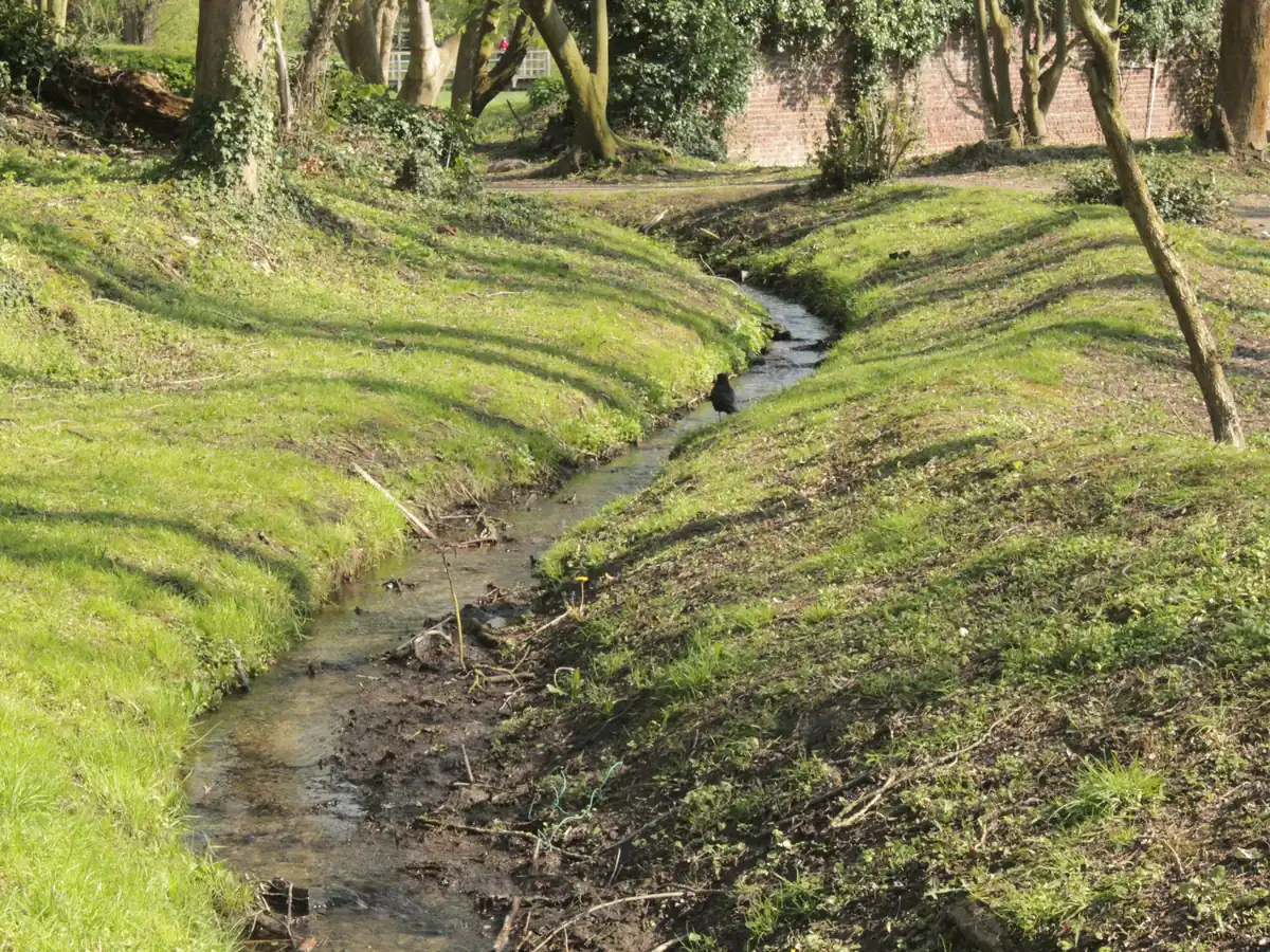 Beek de Geleytsbeek tussen het groen van Ukkel, Brussel
